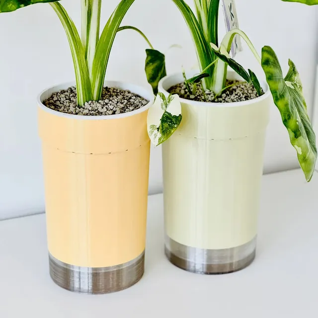 The XL Big Plant Duo