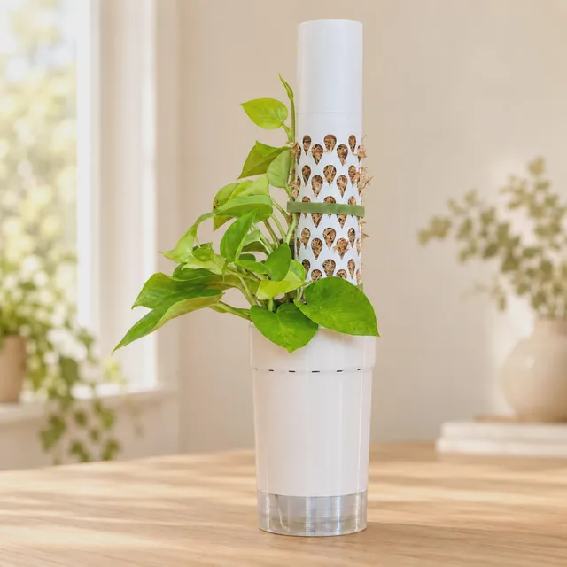 Moss Pole